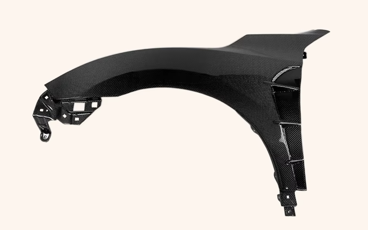 Honda Civic 10th Gen Carbon Fiber Front Fenders