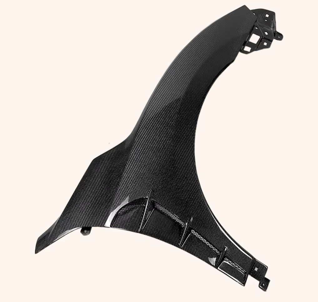 Honda Civic 10th Gen Carbon Fiber Front Fenders