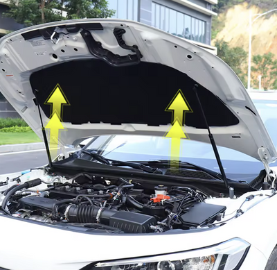 Honda Civic & Integra Models- Carbon Fiber Front Hood Gas Struts Lift Support Kit